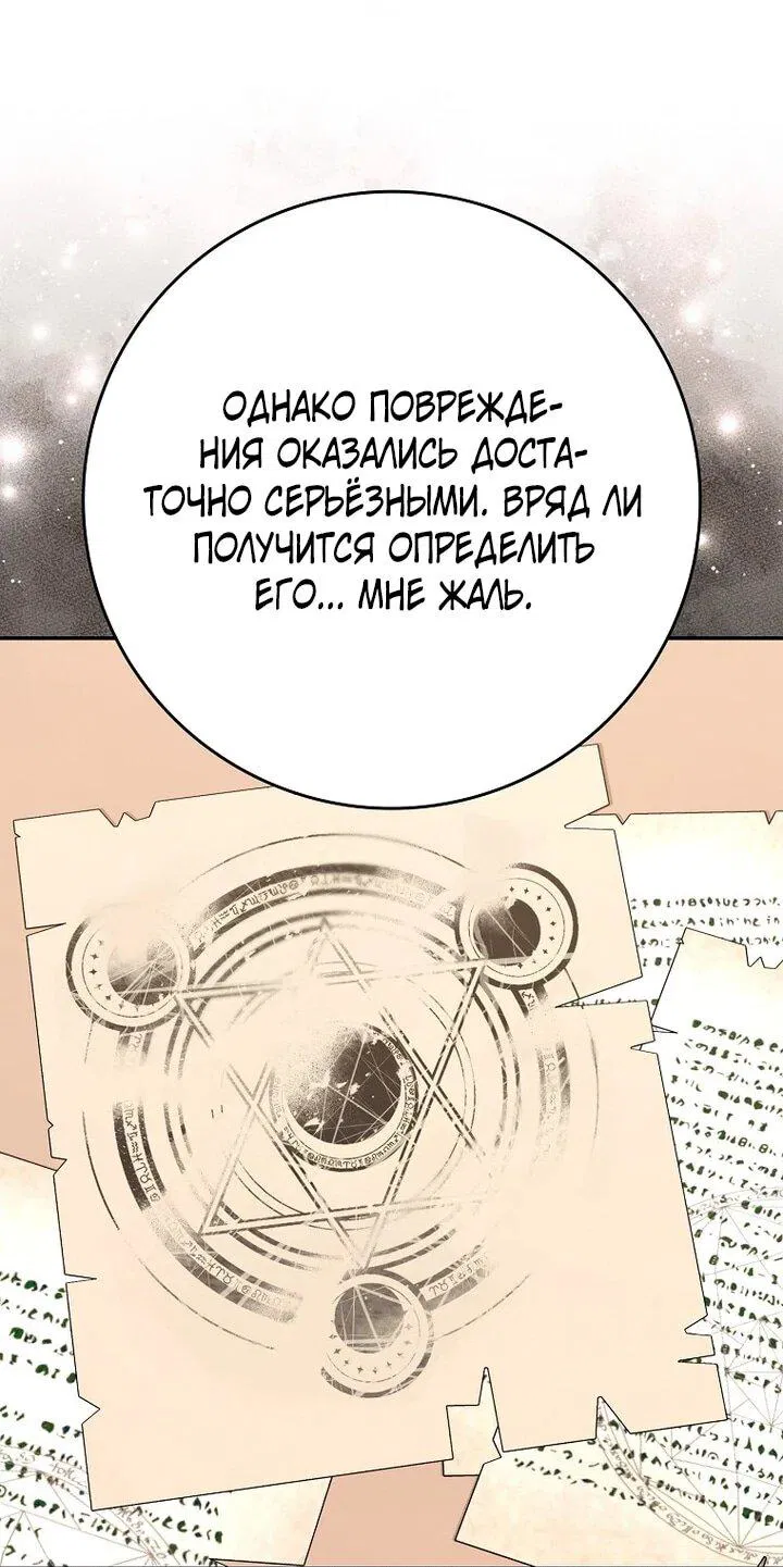 Манга Игрок максимального уровня - Глава 117 Страница 10