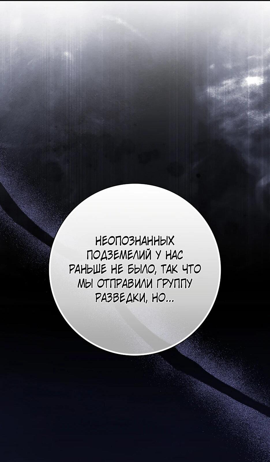 Манга Игрок максимального уровня - Глава 114 Страница 41