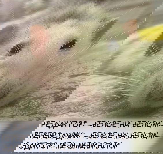 Манга Моё милое сокровище - Глава 23 Страница 9