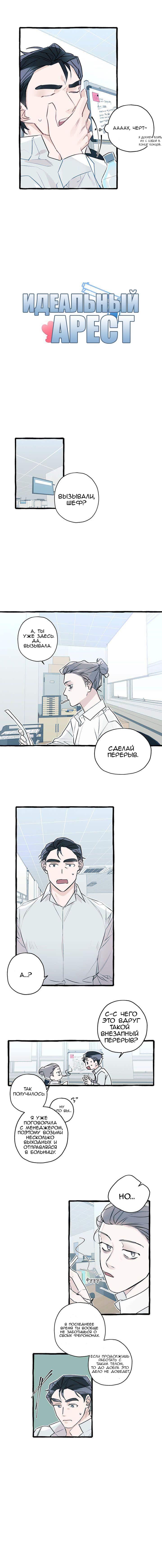 Манга Идеальный арест - Глава 3 Страница 2