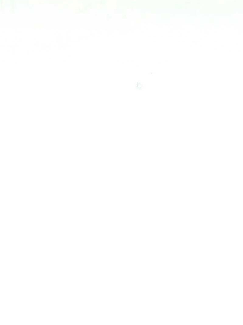 Манга Маленькая наложница мечтает о спокойной жизни - Глава 105 Страница 81