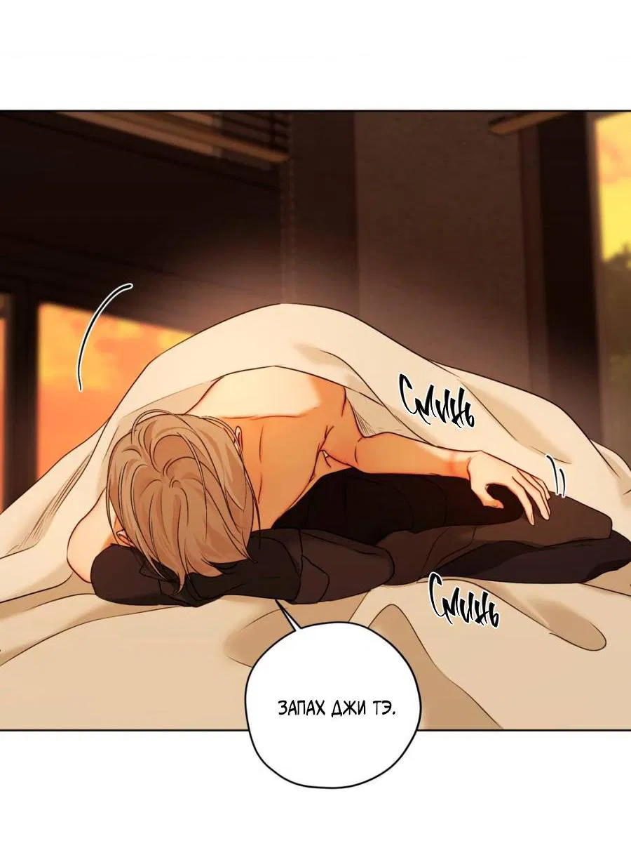 Манга Страсть - Глава 64 Страница 23