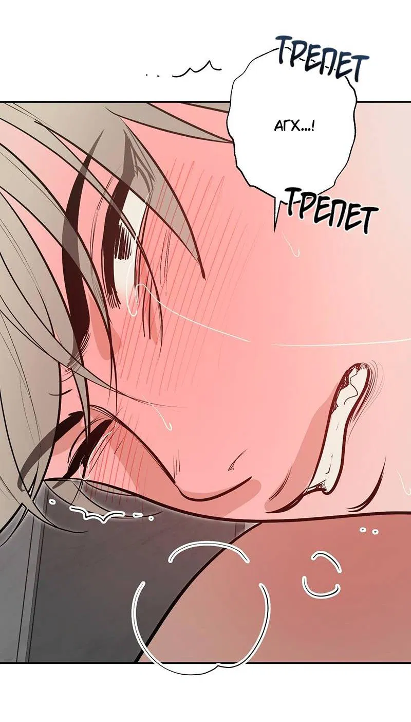 Манга Горько-сладкий вой - Глава 42 Страница 28