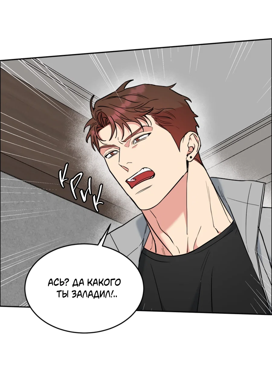 Манга Пёс и птица - Глава 71 Страница 38