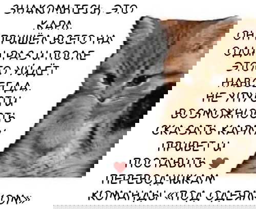 Манга Желаю тебя: Твоя мелодия в моём сердце - Глава 3 Страница 10