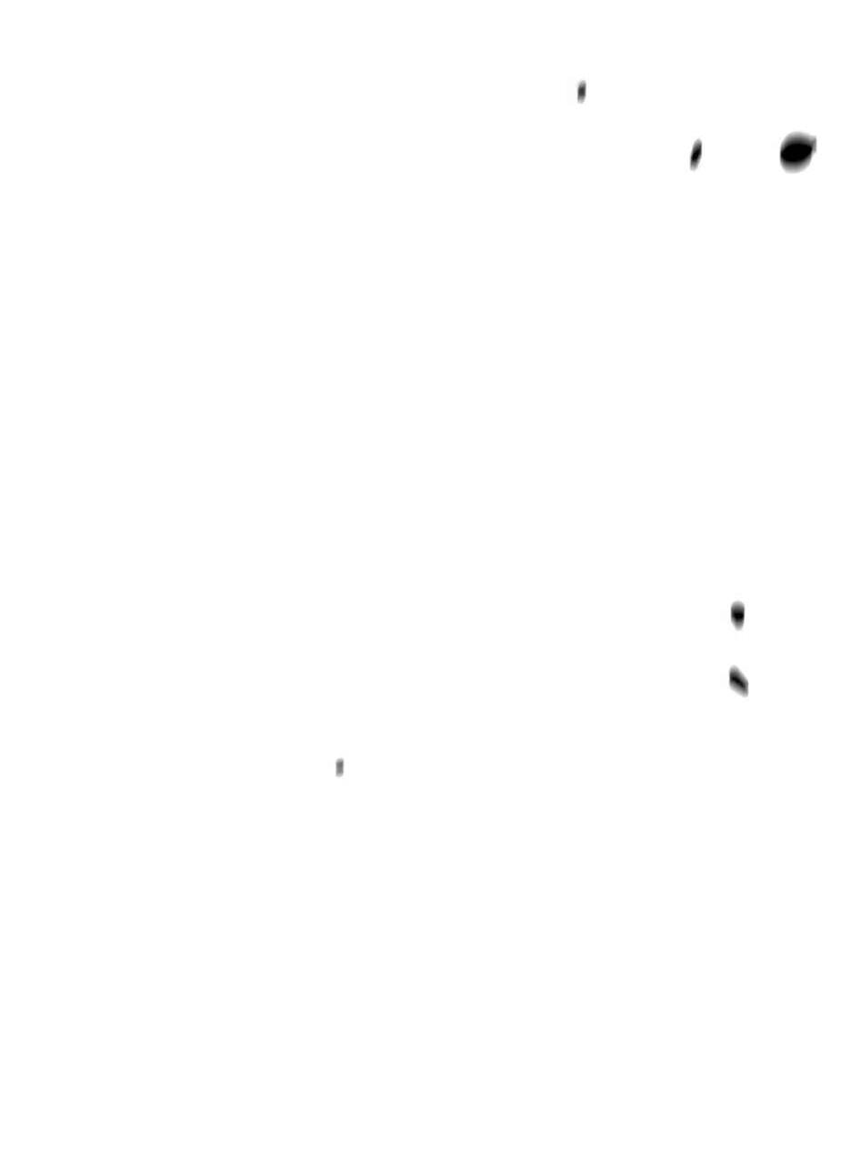 Манга Академия Халлим - Глава 208 Страница 114