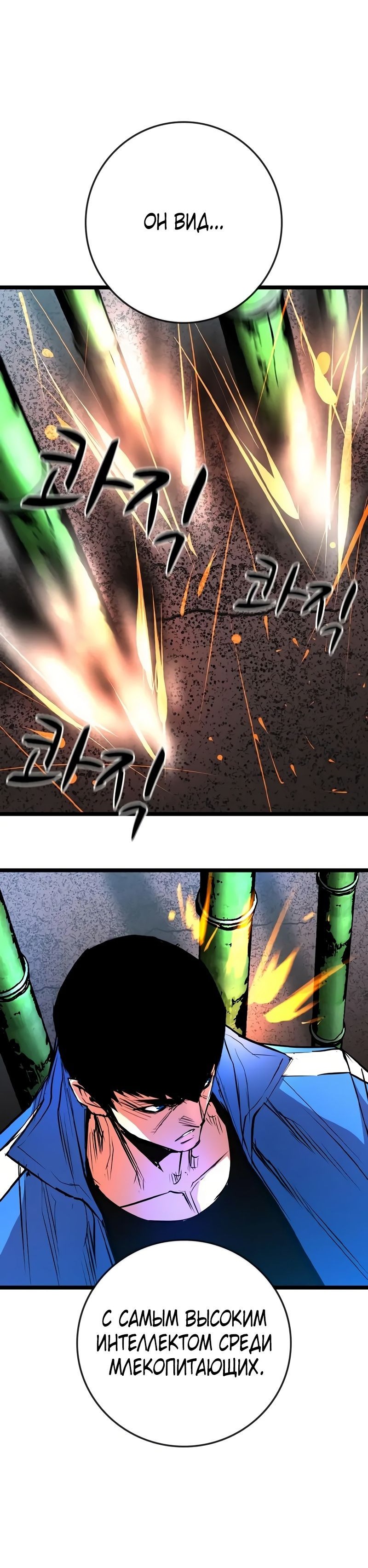 Манга Академия Халлим - Глава 143 Страница 66