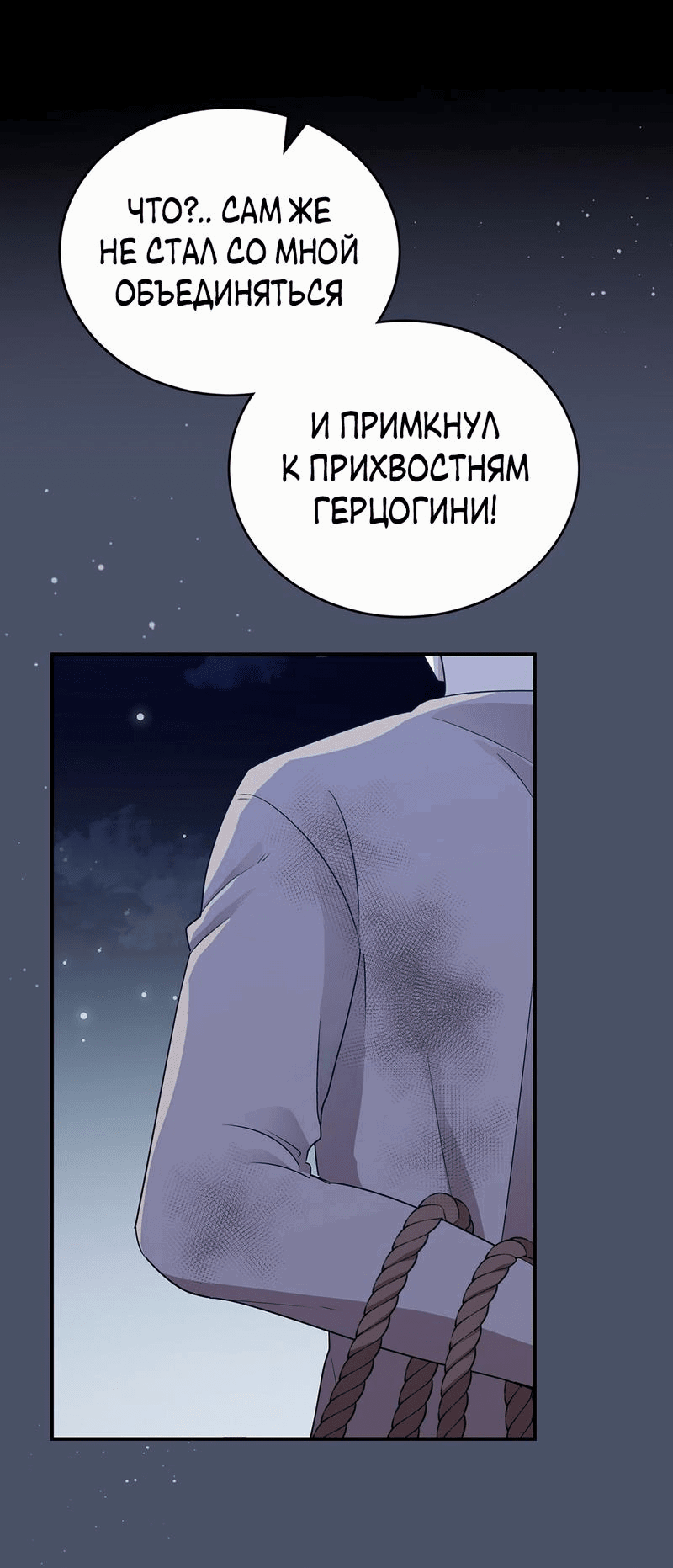 Манга Наследие фей - Глава 65 Страница 12