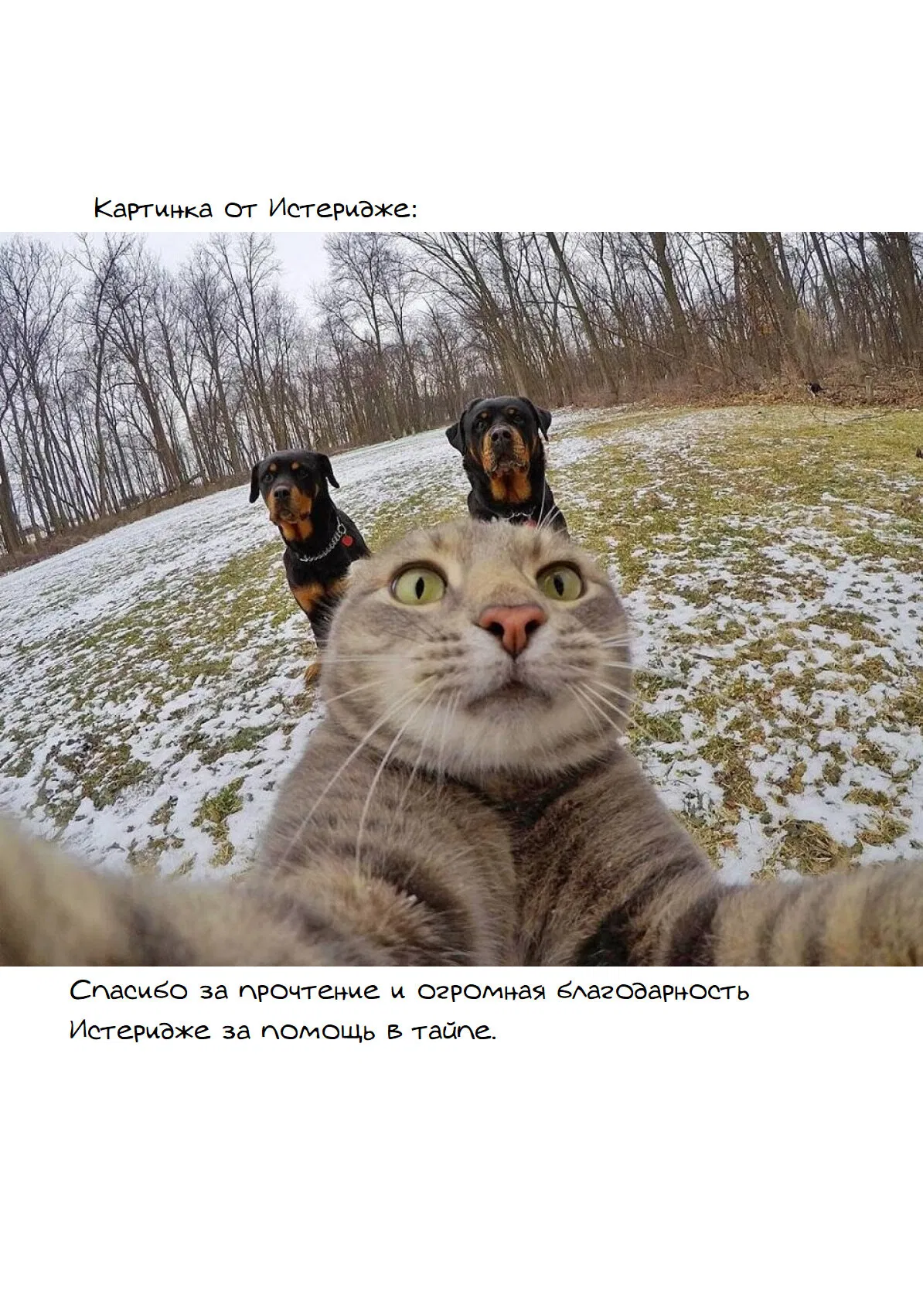 Манга У меня нет возлюбленной! (А может и есть?!) - Глава 22 Страница 22
