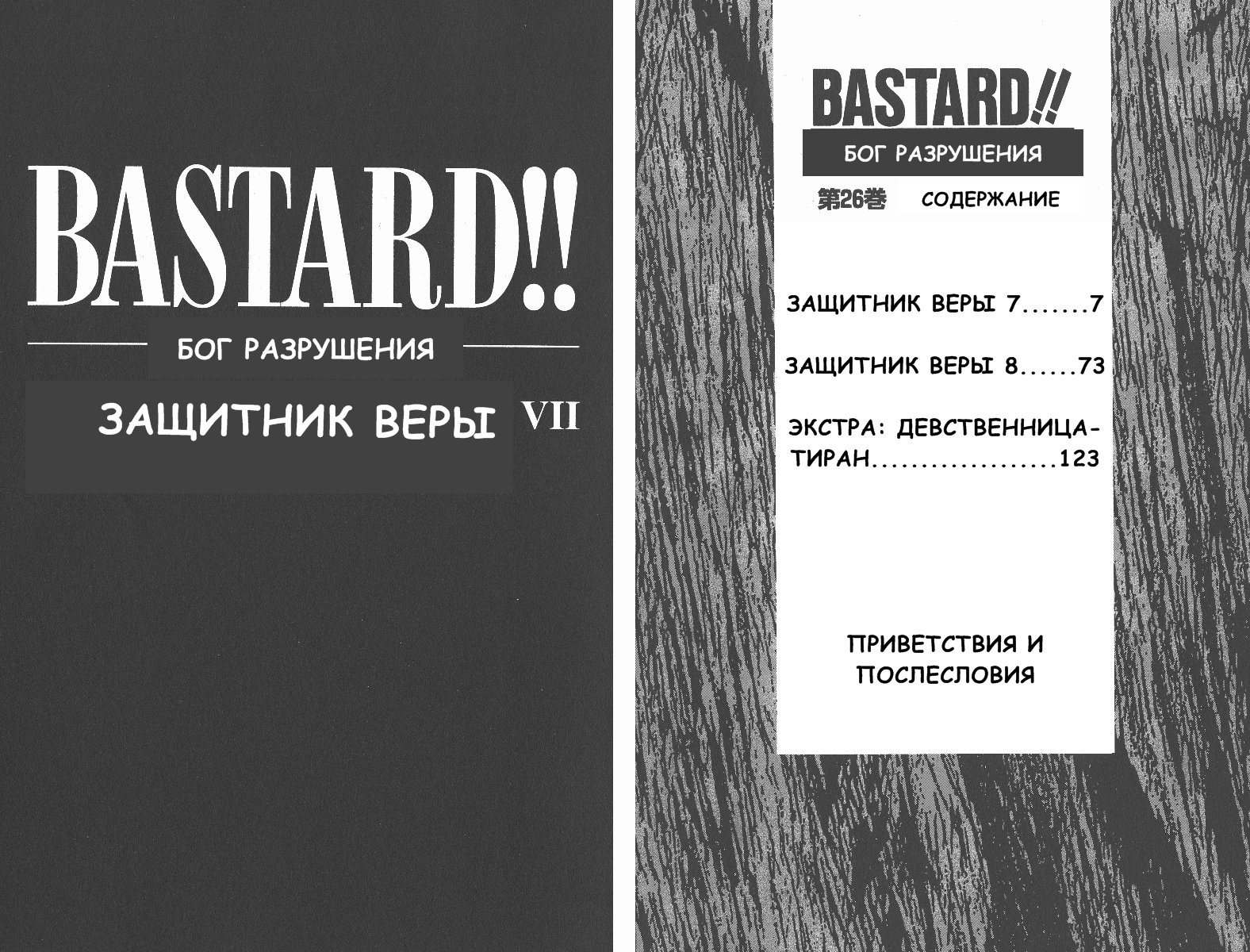 Манга Ублюдок!! Бог разрушения - Глава 2 Страница 2