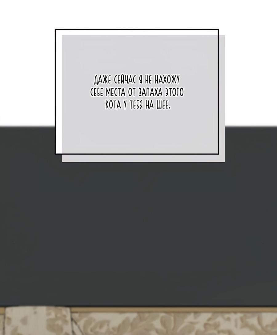 Манга Я забрала главного героя из приюта для животных - Глава 85 Страница 37
