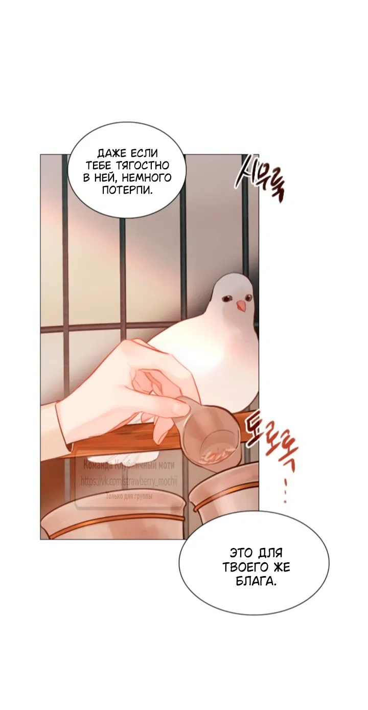 Манга Плачь, а лучше умоляй - Глава 65 Страница 23