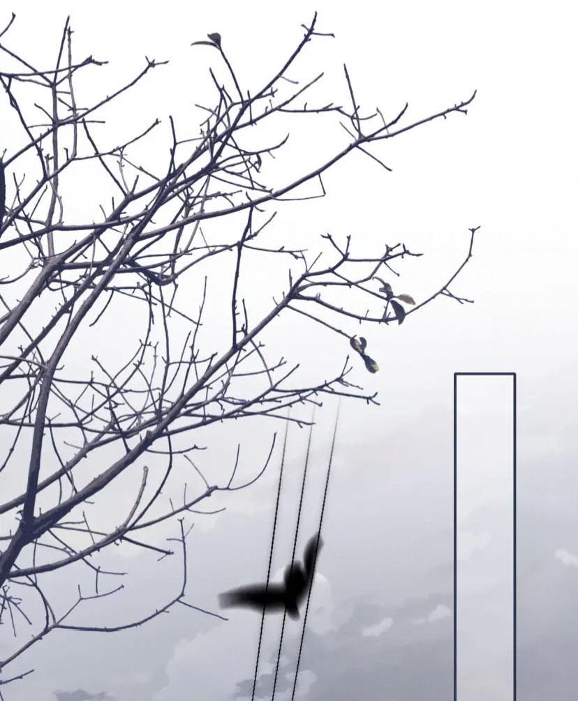 Манга Милый аллерген - Глава 43 Страница 10