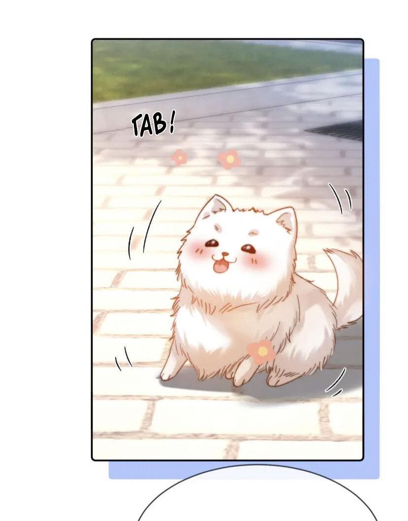 Манга Милый аллерген - Глава 49 Страница 23