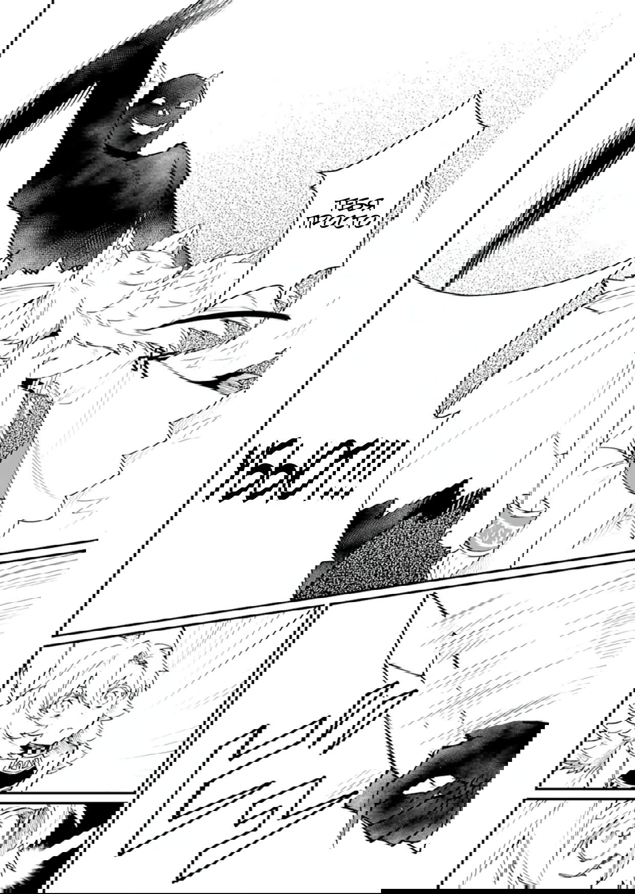 Манга Дракон и бывший участник группы героя, уходят в отставку и начинают новую неспешную жизнь на другом континенте - Глава 21.1 Страница 12