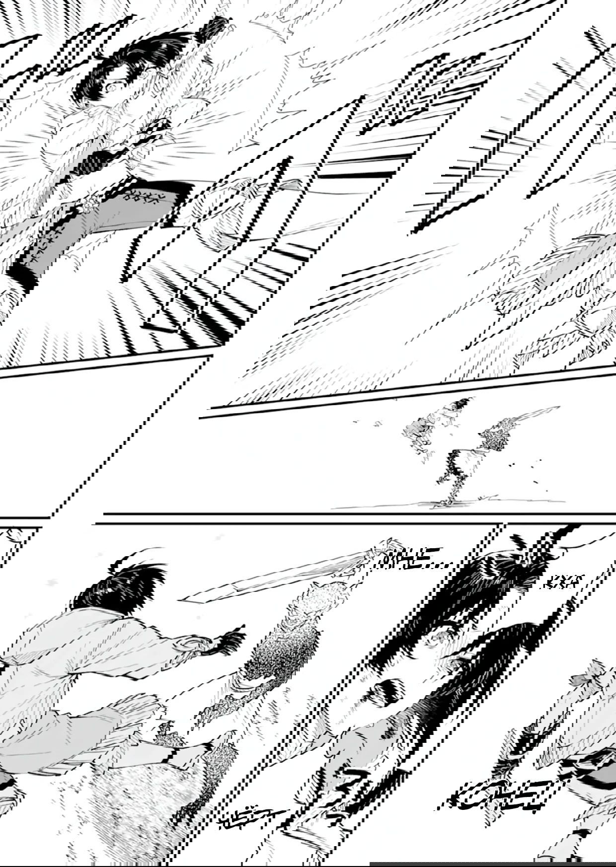 Манга Дракон и бывший участник группы героя, уходят в отставку и начинают новую неспешную жизнь на другом континенте - Глава 20.5 Страница 10