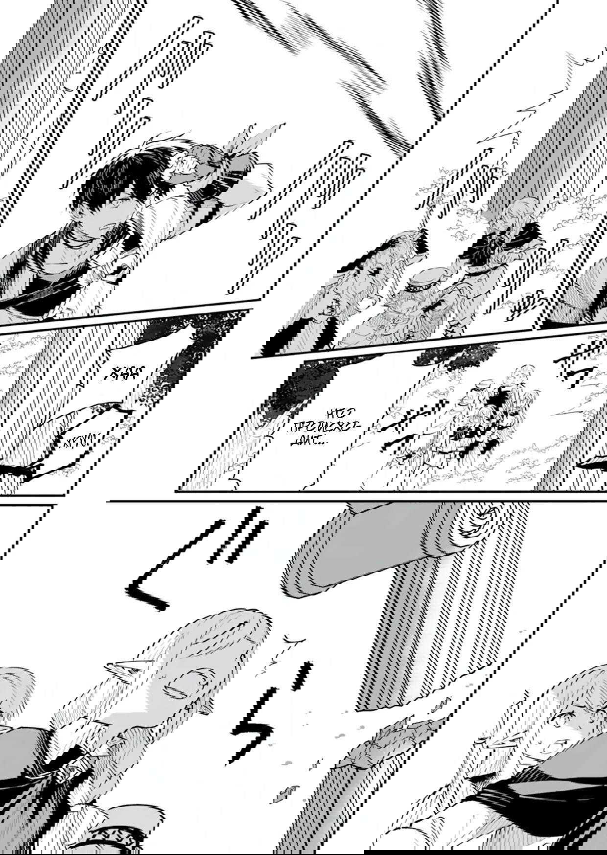 Манга Дракон и бывший участник группы героя, уходят в отставку и начинают новую неспешную жизнь на другом континенте - Глава 20.5 Страница 4