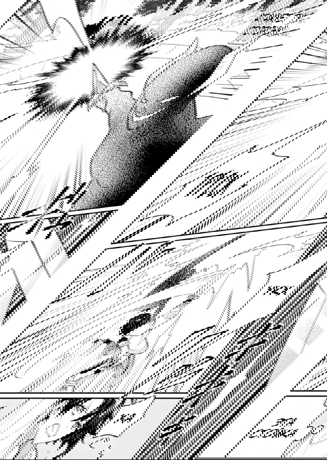 Манга Дракон и бывший участник группы героя, уходят в отставку и начинают новую неспешную жизнь на другом континенте - Глава 20.5 Страница 9