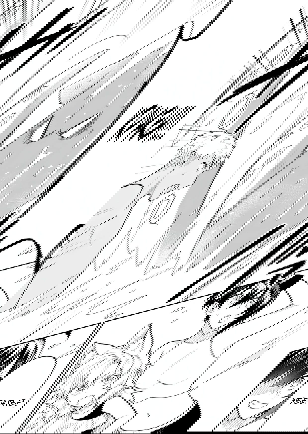 Манга Дракон и бывший участник группы героя, уходят в отставку и начинают новую неспешную жизнь на другом континенте - Глава 22.2 Страница 11