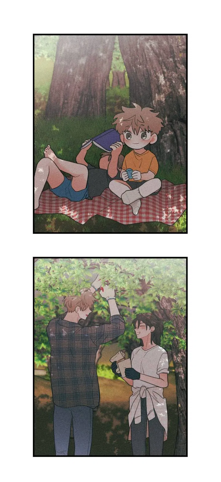 Манга Любовь, расцветающая цветками груши - Глава 74 Страница 37