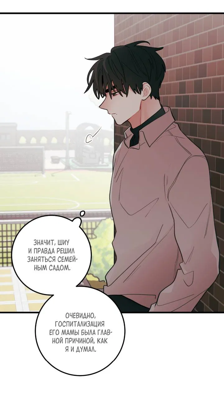 Манга Любовь, расцветающая цветками груши - Глава 76 Страница 19