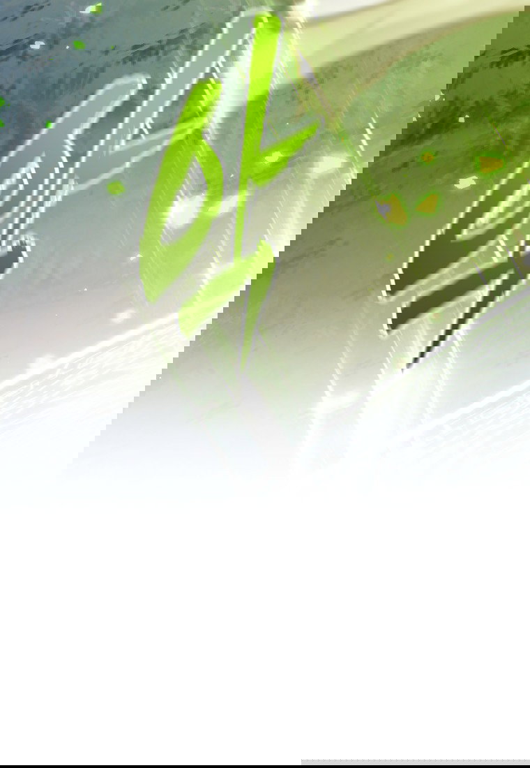 Манга Я больше не герой - Глава 112 Страница 77