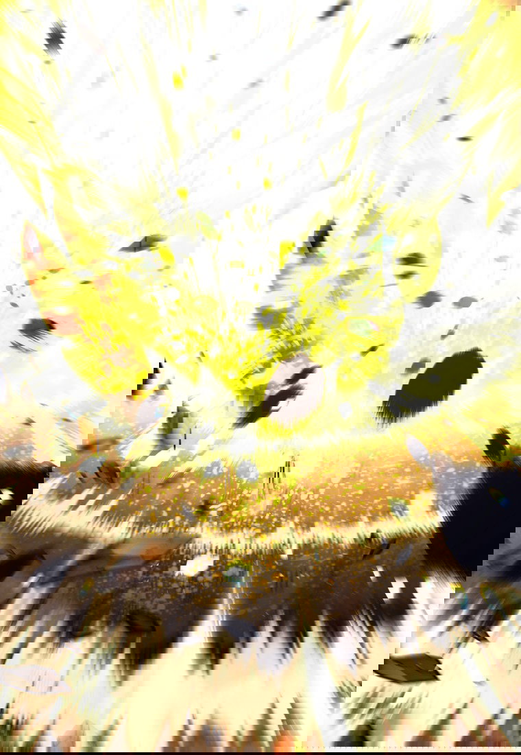 Манга Я больше не герой - Глава 114 Страница 29