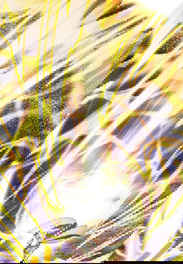 Манга Я больше не герой - Глава 114 Страница 7