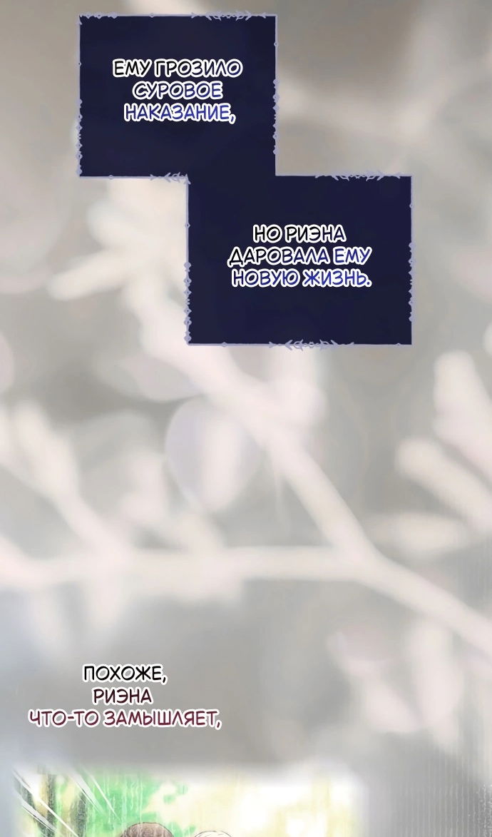 Манга Я разведусь со старшим братом главной героини - Глава 97 Страница 6