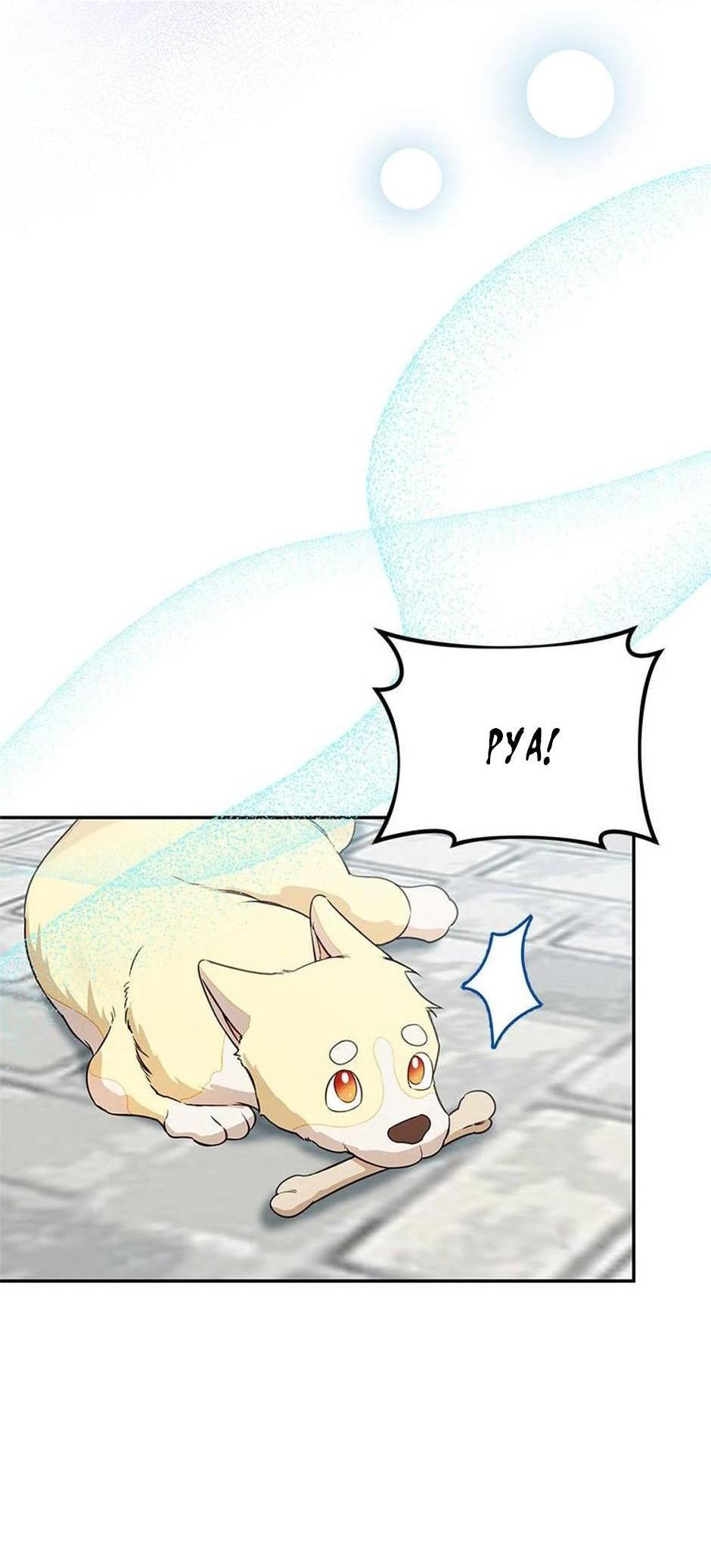 Манга Будьте осторожны, выбирая мужа - Глава 66 Страница 9