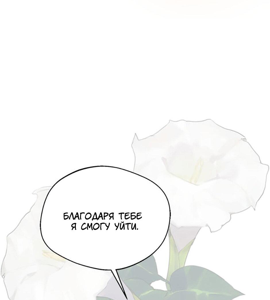 Манга Будьте осторожны, выбирая мужа - Глава 78 Страница 43