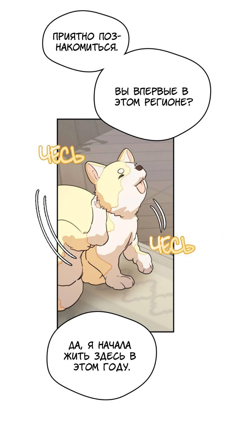 Манга Будьте осторожны, выбирая мужа - Глава 58 Страница 62