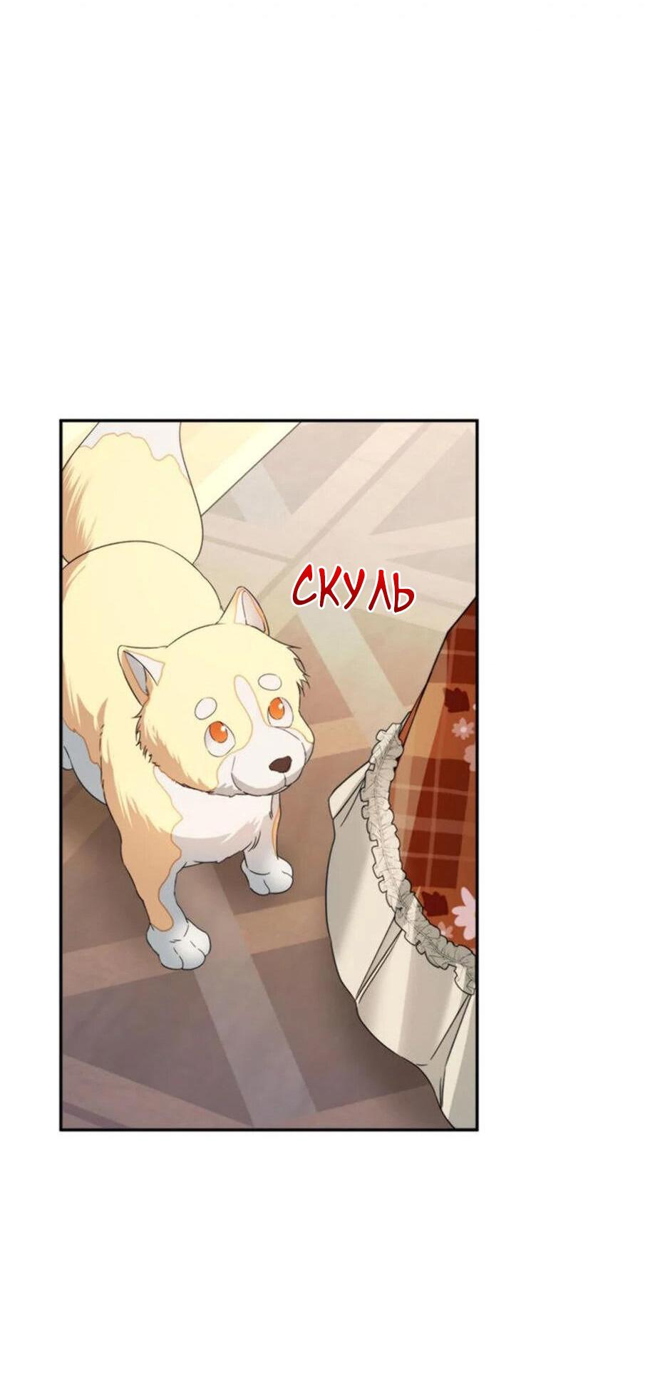 Манга Будьте осторожны, выбирая мужа - Глава 60 Страница 28