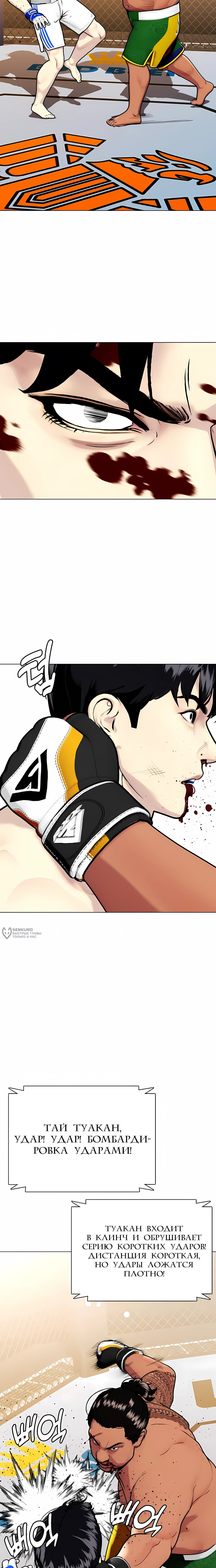 Манга Тот, над кем издеваются, слишком хорош в борьбе - Глава 144 Страница 14