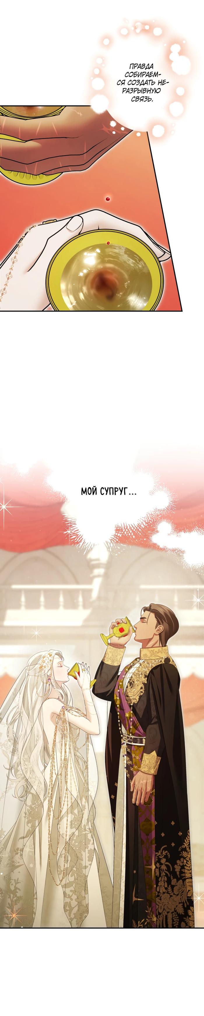 Манга Похищение невесты - Глава 79 Страница 28