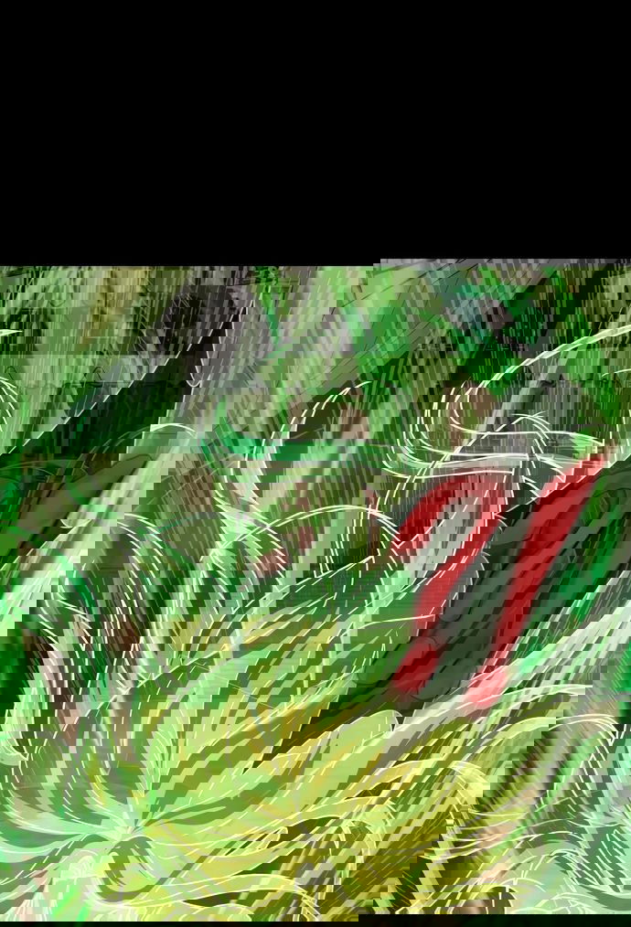 Манга Игрок, поедающий сталь - Глава 89 Страница 1