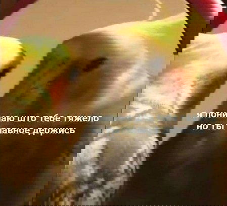 Манга Боевой Континент 4 – Последний Бой - Глава 47 Страница 18
