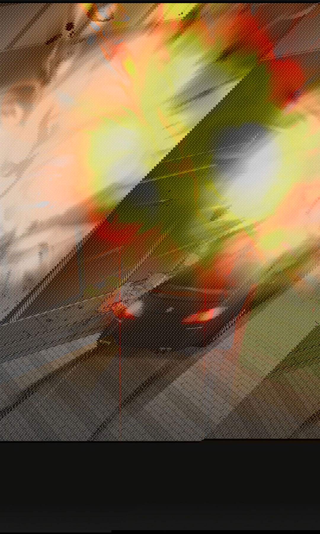 Манга Царство птиц и зверей 〜 Я сделаю тебя председателем 〜 - Глава 23 Страница 52