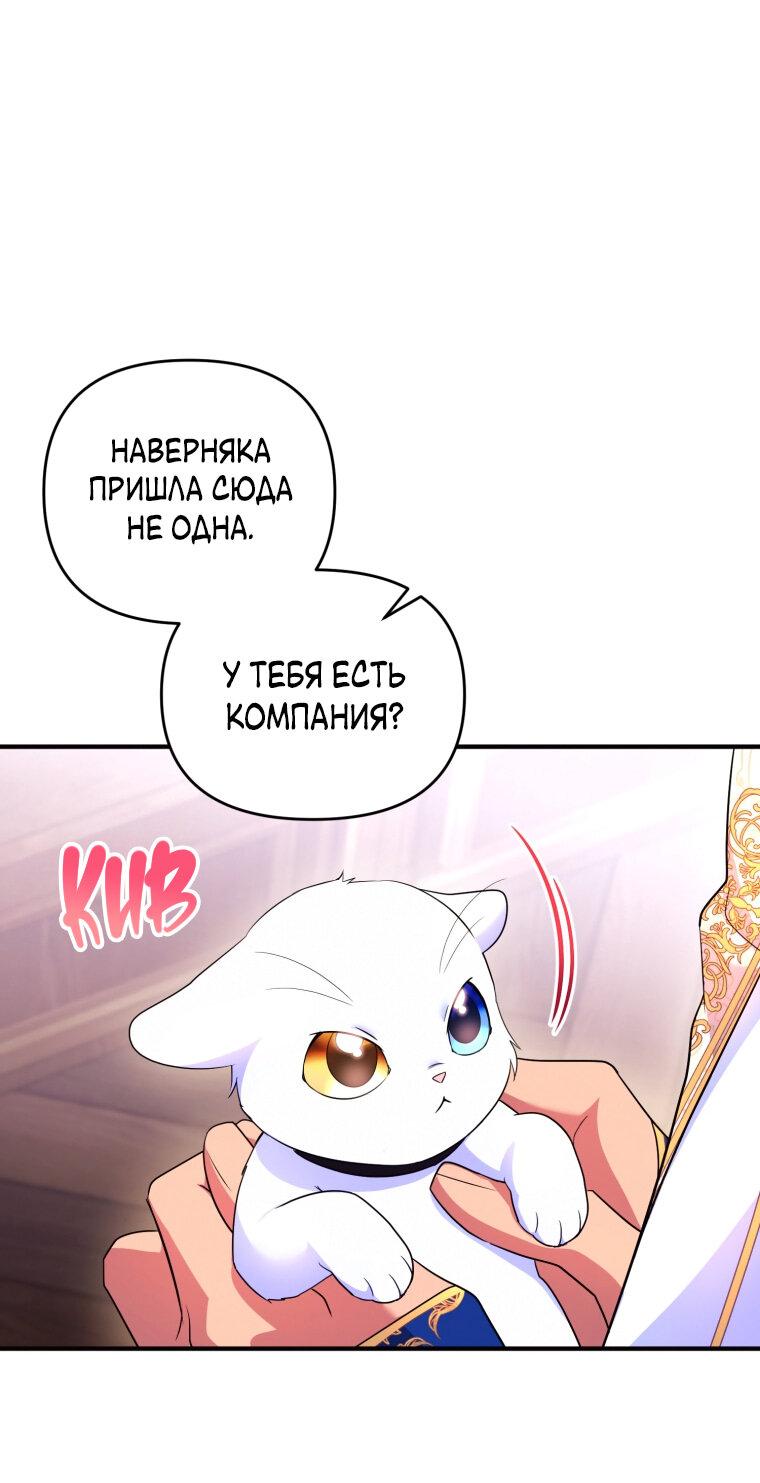 Манга Отныне я любимая кошка султана - Глава 24 Страница 39