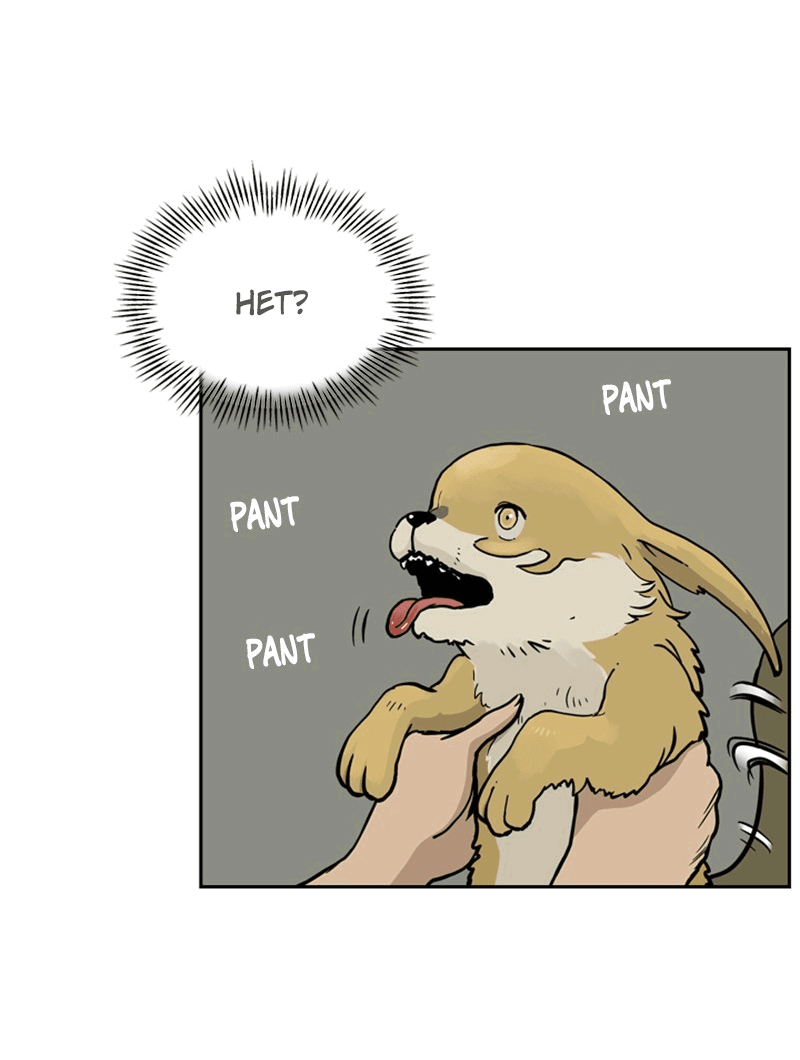 Манга Снова маг - Глава 27 Страница 5