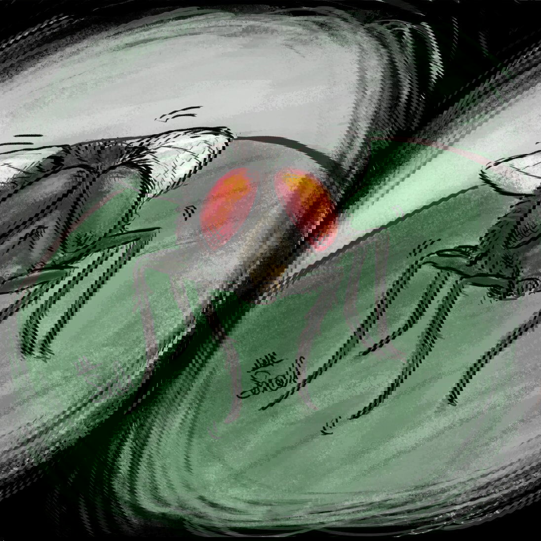 Манга Незабудка - Глава 40 Страница 7