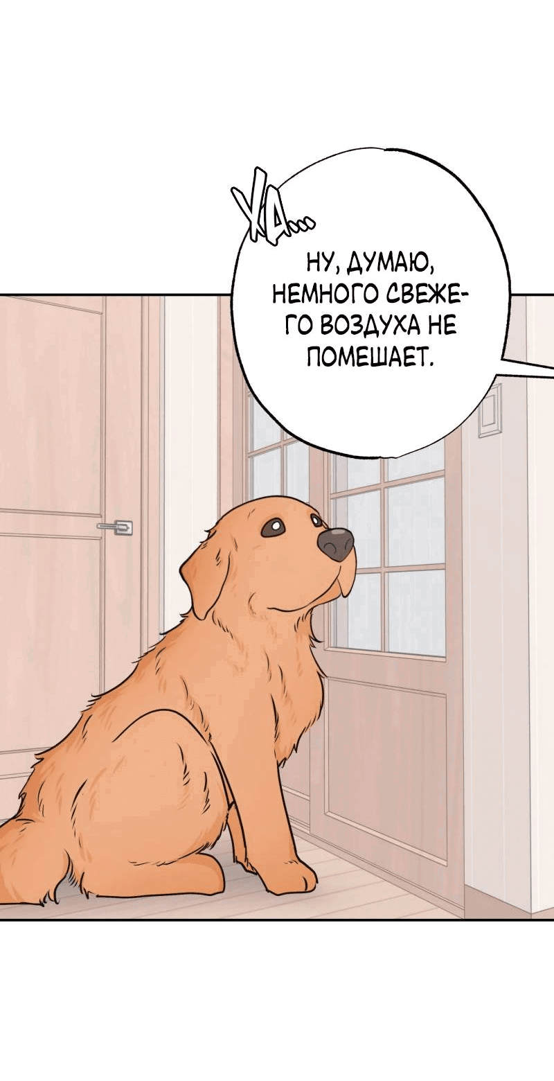 Манга Золотой час (вебтун) - Глава 46 Страница 33