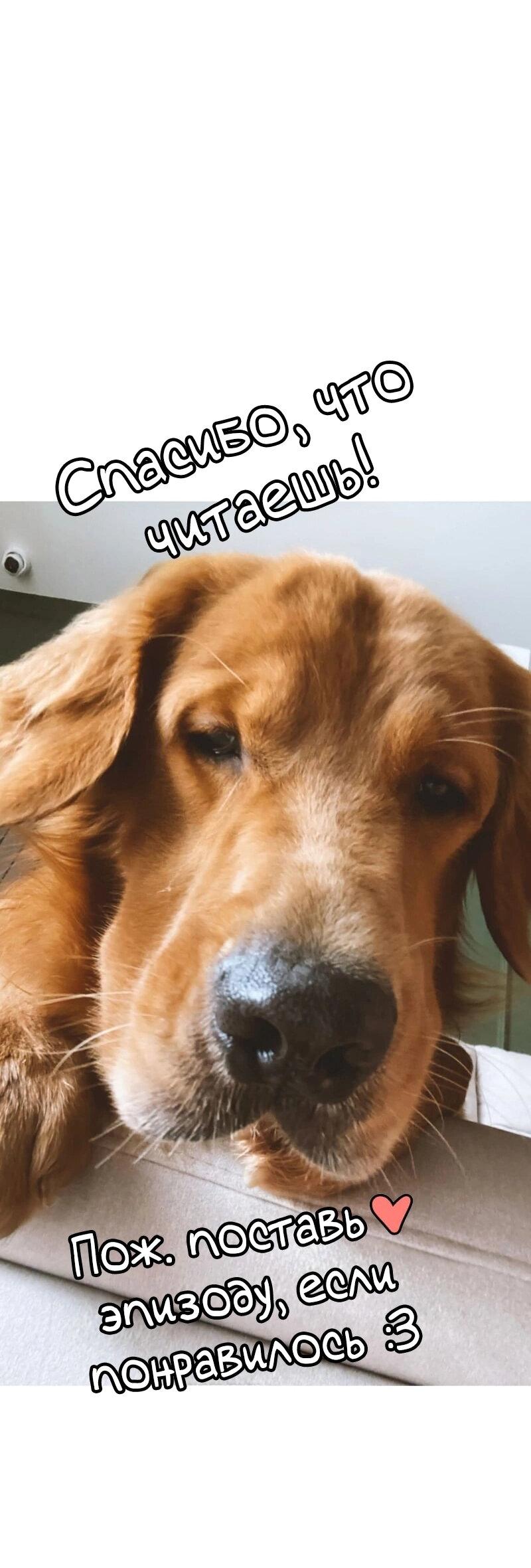 Манга Золотой час (вебтун) - Глава 48 Страница 57