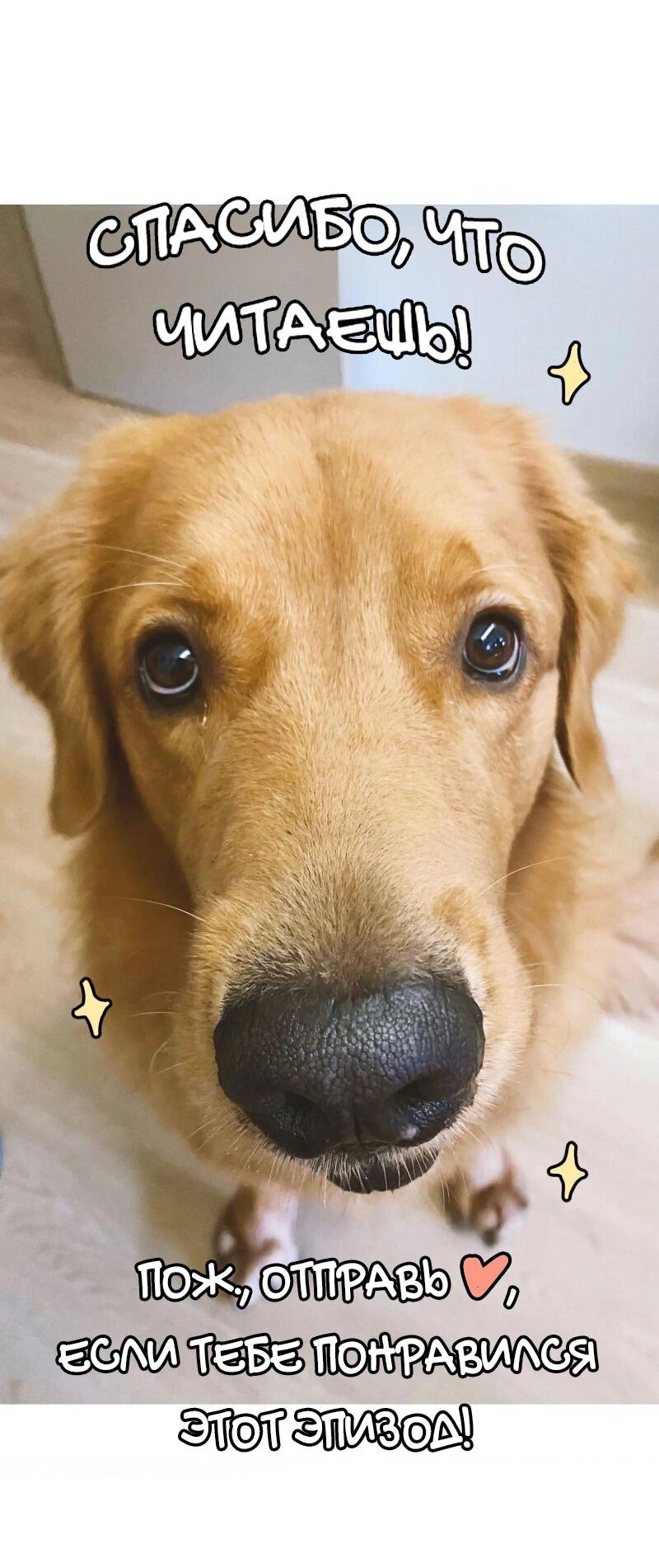 Манга Золотой час (вебтун) - Глава 50 Страница 55