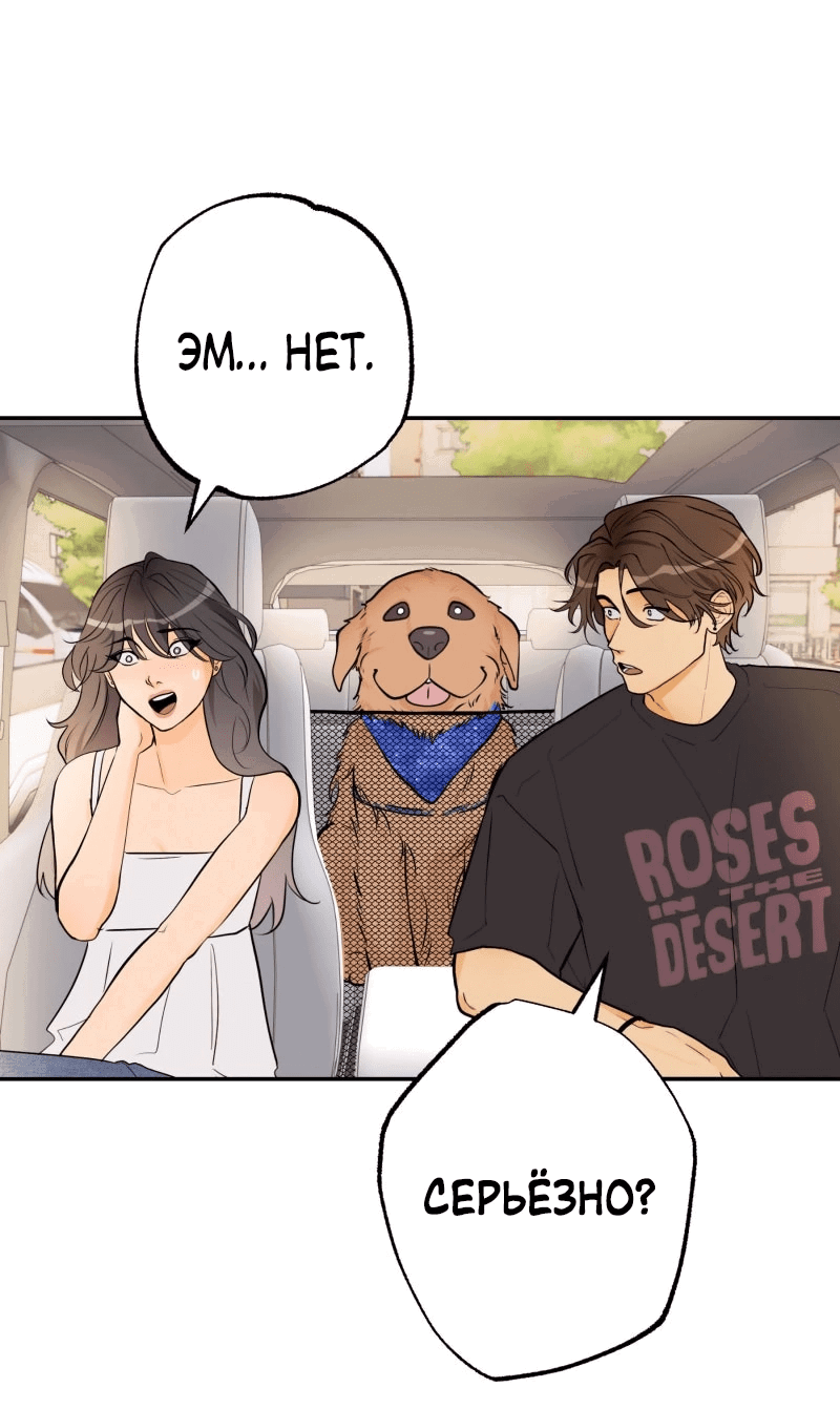 Манга Золотой час (вебтун) - Глава 50 Страница 12