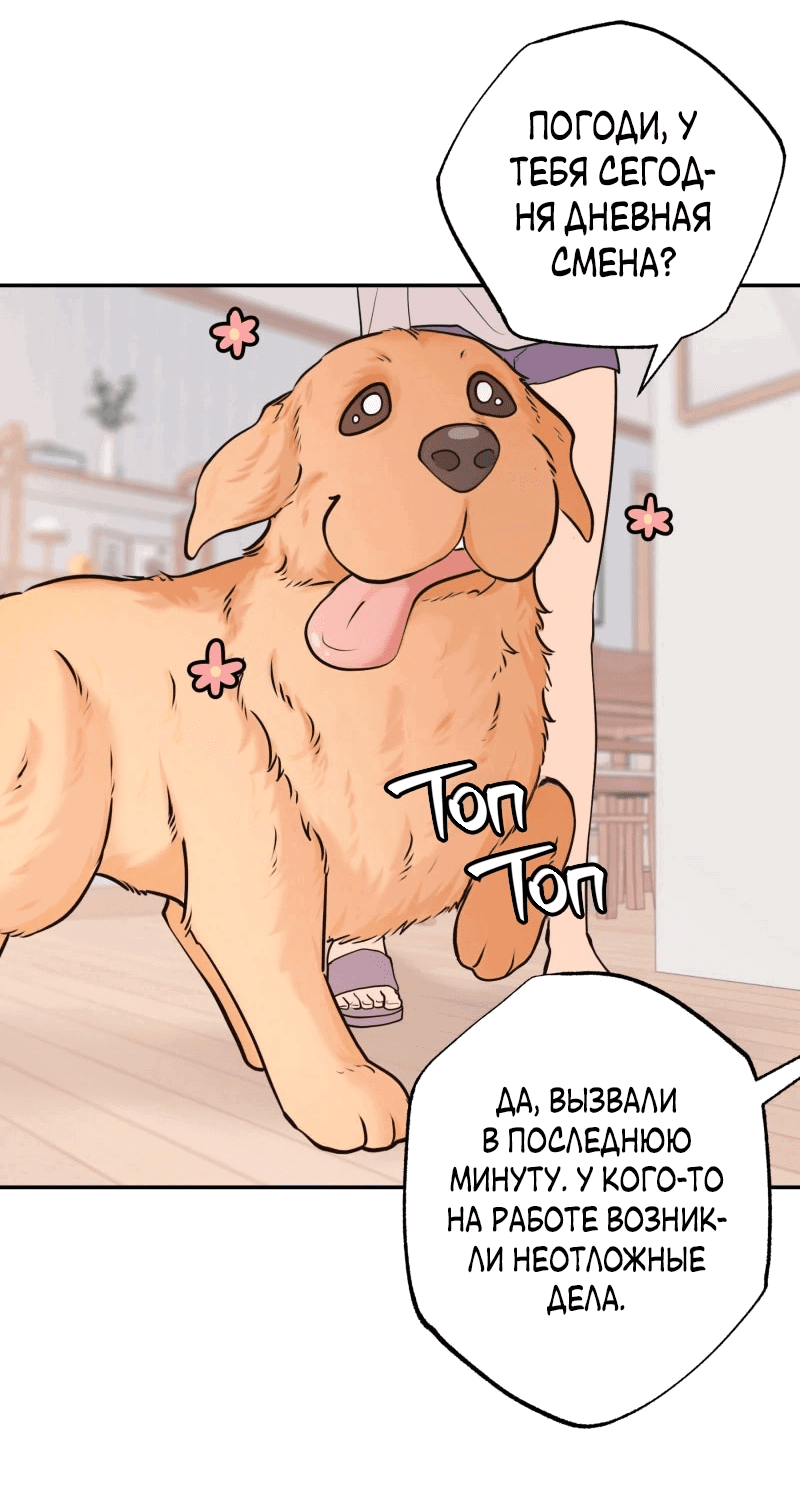Манга Золотой час (вебтун) - Глава 49 Страница 13