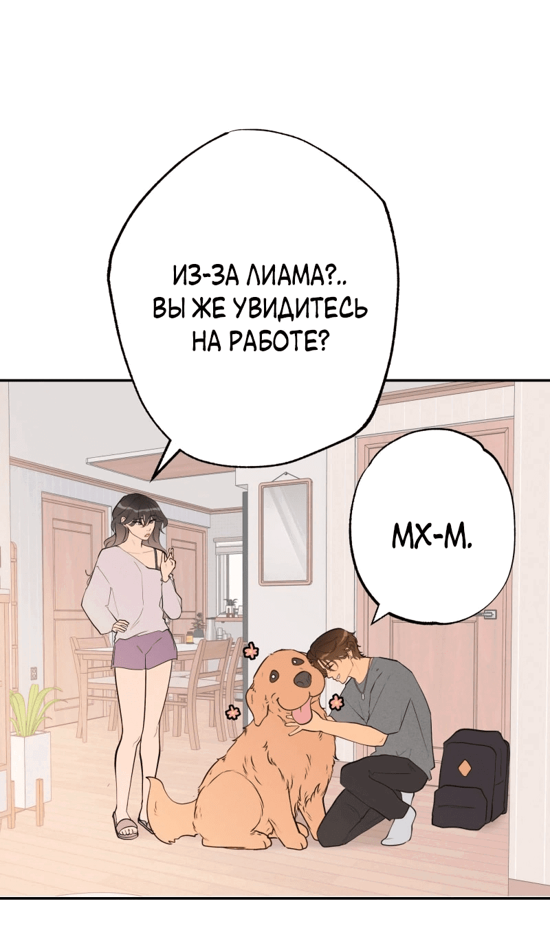 Манга Золотой час (вебтун) - Глава 49 Страница 17