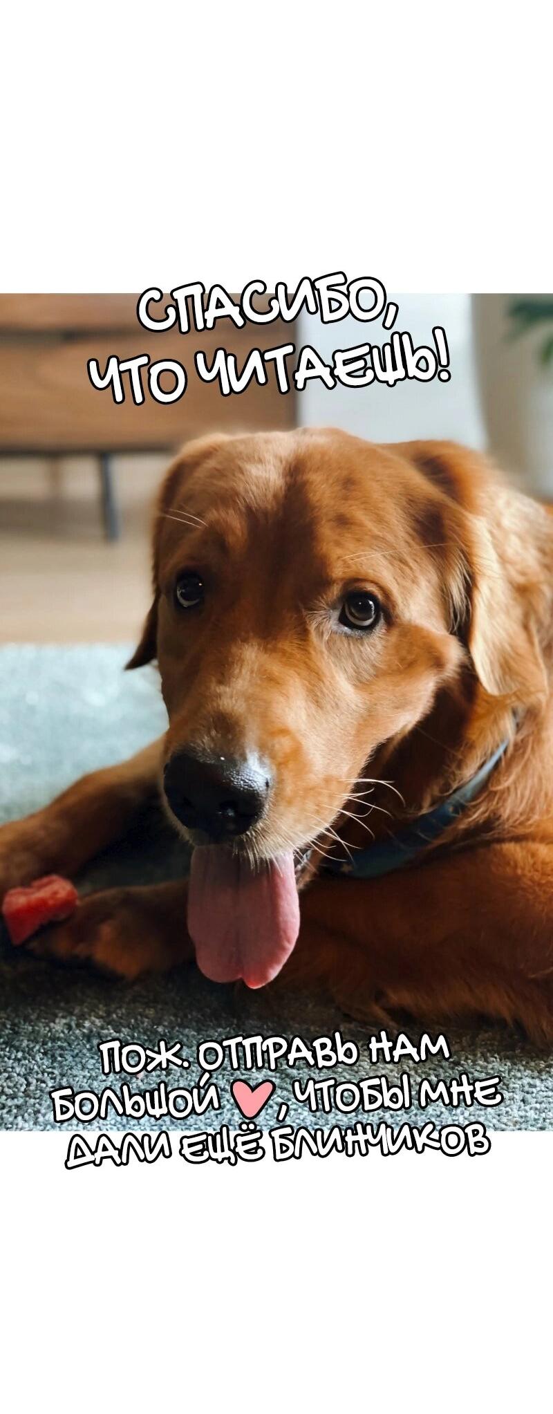 Манга Золотой час (вебтун) - Глава 49 Страница 52