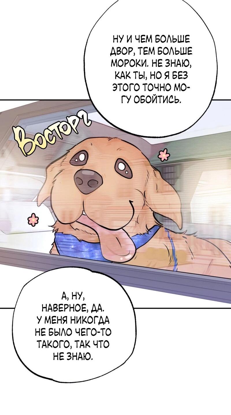 Манга Золотой час (вебтун) - Глава 51 Страница 5