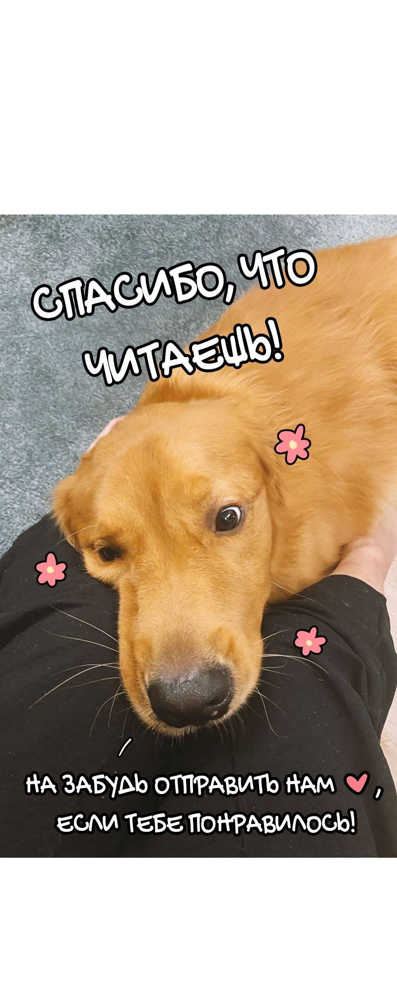 Манга Золотой час (вебтун) - Глава 53 Страница 45